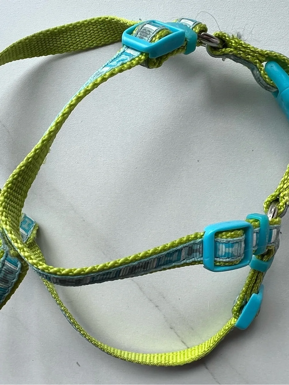 Adjustable Dogs Harness in Lime Green and Teal
